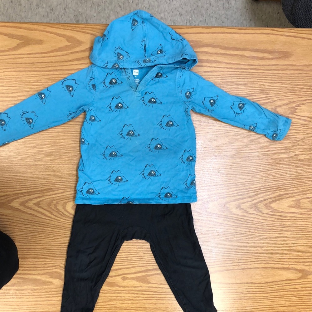 Tea Collection Hoodie and Black Pants Set